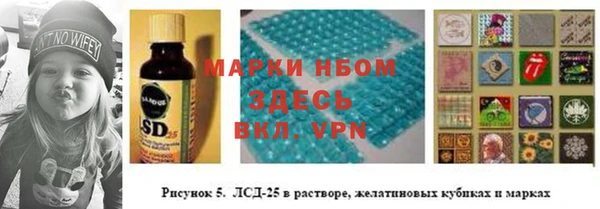 гидра Алзамай