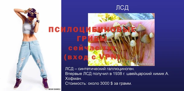 mdpv Алексин