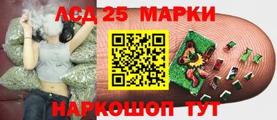 крисы Татарск