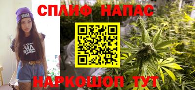 дмт Тара