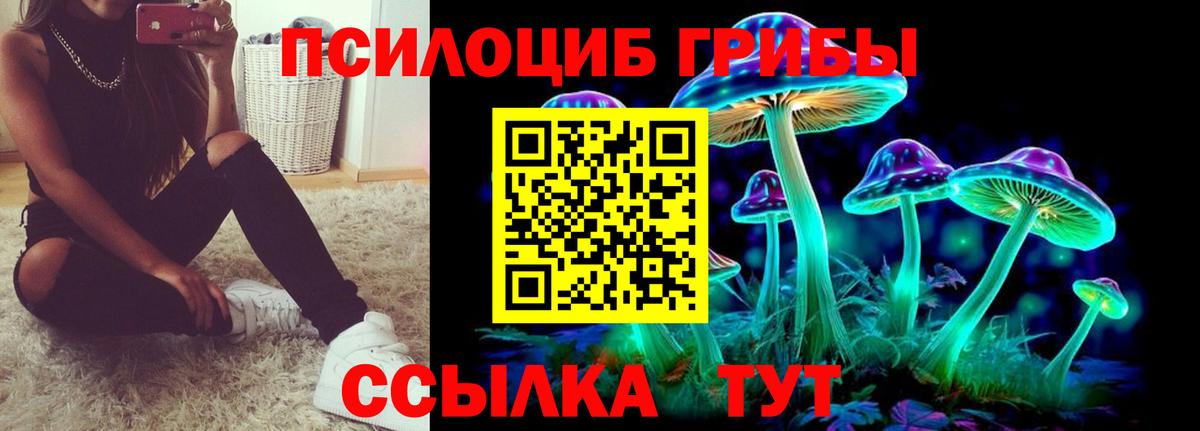 Галлюциногенные грибы мухоморы  Вход с VPN  хочу наркоту  Сосновый Бор  Галлюциногенные грибы Psilocybe 