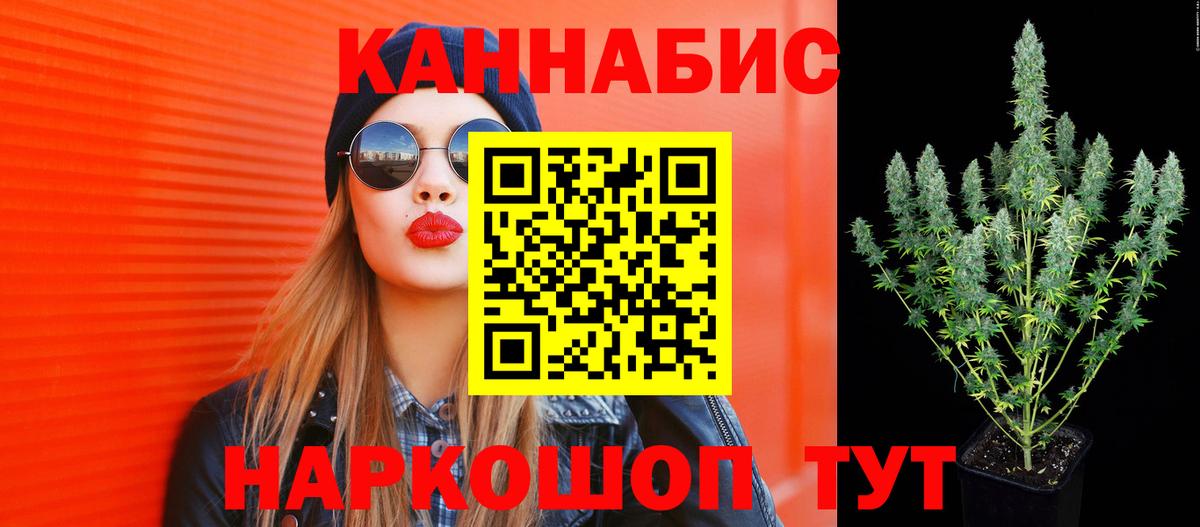 Каннабис White Widow Сосновый Бор